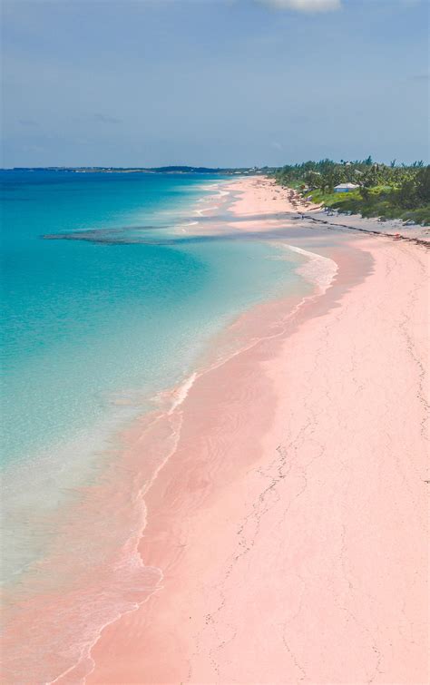 Pink sand bahamas beach. Things To Know About Pink sand bahamas beach. 